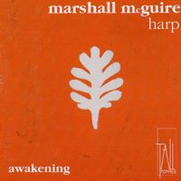 Front cover art for Awakening