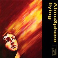 Front cover art for Flying
