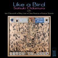 Front cover art for Like a Bird