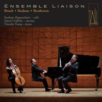 Front cover art for Ensemble Liaison: Bruch, Brahms, Beethoven