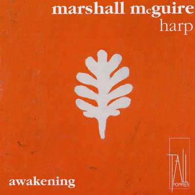 Front cover art for Awakening