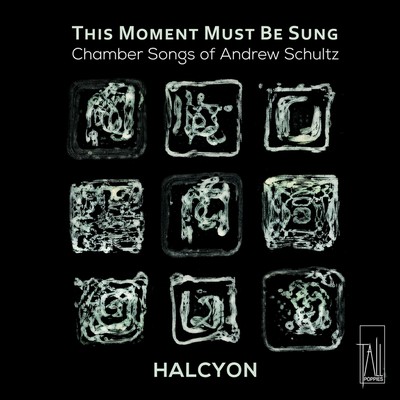 Front cover art for This Moment Must Be Sung: Chamber Songs of Andrew Schultz