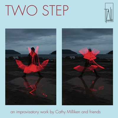 Front cover art for Two Step