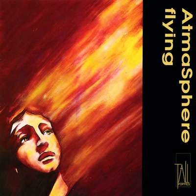 Front cover art for Flying