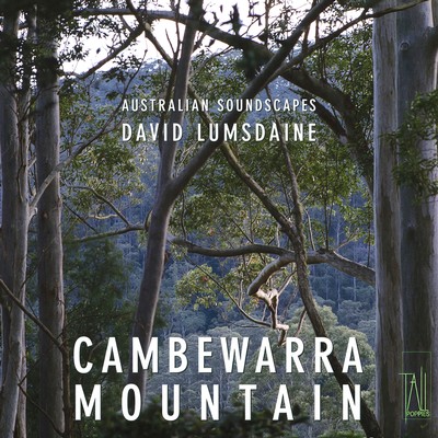 Front cover art for Australian Soundscapes: Cambewarra Mountain