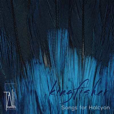 Front cover art for Kingfisher