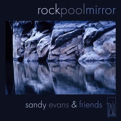 Front cover art for RockPoolMirror